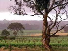 Kangarilla SA Port Augusta Accommodation