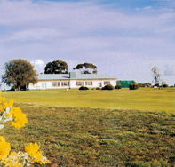 Lucindale Country Club - Port Augusta Accommodation