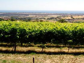 Braydun Hill Vineyard - Port Augusta Accommodation 0