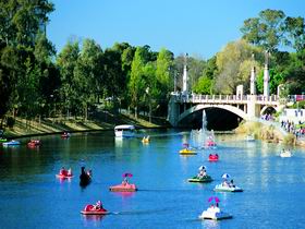 Captain Jolleys Paddle Boats - Port Augusta Accommodation 0