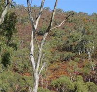 Black Hill Conservation Park - Port Augusta Accommodation