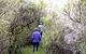 Jack And Hilda McArthur Walk - thumb 0