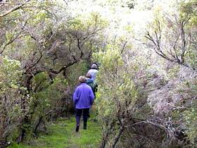 Jack And Hilda McArthur Walk - Port Augusta Accommodation 0