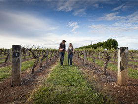 Coonawarra Wineries Walking Trail - Port Augusta Accommodation 0