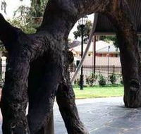 Old Gum Tree - Port Augusta Accommodation
