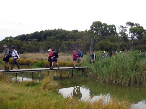 Lavender Federation Trail - Port Augusta Accommodation 1