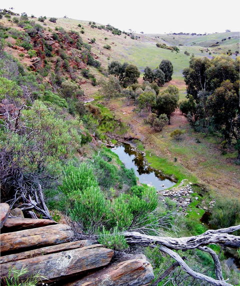 Lavender Federation Trail - Port Augusta Accommodation 3