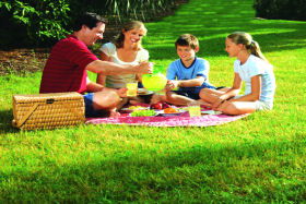 Bruny Island Berry Farm - Port Augusta Accommodation 0