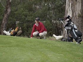 Tasmania Golf Club - The - Port Augusta Accommodation 0