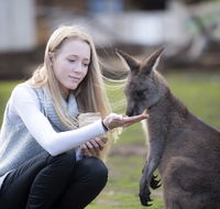Bonorong Wildlife Sanctuary - Port Augusta Accommodation
