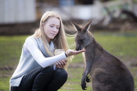 Bonorong Wildlife Sanctuary - Port Augusta Accommodation 0