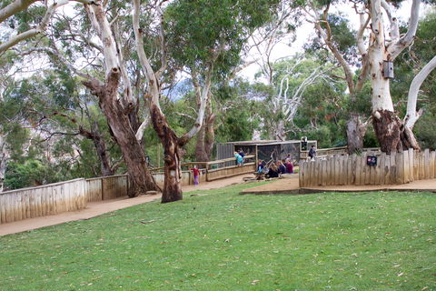 Bonorong Wildlife Sanctuary - Port Augusta Accommodation 2