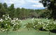 RMC Golf Club - thumb 0