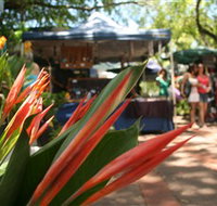 Nightcliff Markets - Port Augusta Accommodation