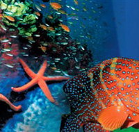 Indo Pacific Marine - Port Augusta Accommodation