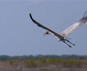 Gayngaru Wetlands Interpretive Walk - Port Augusta Accommodation 0