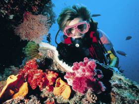 Cook Island Dive Site - Port Augusta Accommodation 0