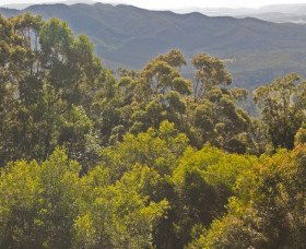 Conondale QLD Port Augusta Accommodation