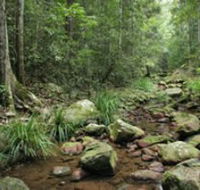 Amamoor State Forest - Port Augusta Accommodation