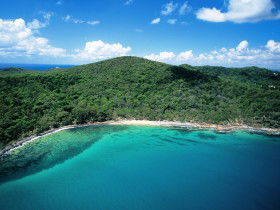 Noosa Heads Coastal Track - Port Augusta Accommodation 0