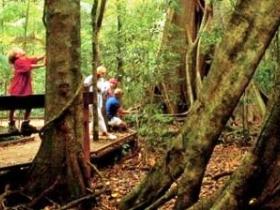 Mary Cairncross Scenic Reserve - Port Augusta Accommodation 0