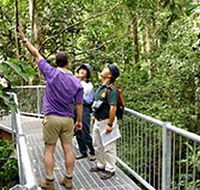 Daintree Discovery Centre - Port Augusta Accommodation