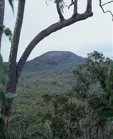 Mount Fox - Port Augusta Accommodation 0