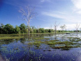 Tyto Wetlands - Port Augusta Accommodation 0