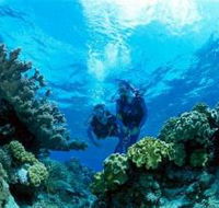 Coral Gardens Dive Site - Port Augusta Accommodation