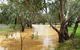 Saddliers Waterhole And Hamburg Creek - thumb 0