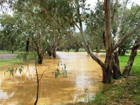 Saddliers Waterhole And Hamburg Creek - Port Augusta Accommodation 0