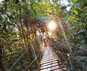 Tree Top Walkway - Port Augusta Accommodation 0