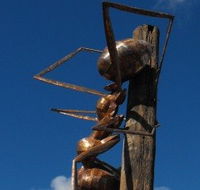 Augathella Meat Ant Park and Sculpture - Port Augusta Accommodation