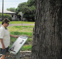 Augathella Kenniff Tree - Port Augusta Accommodation