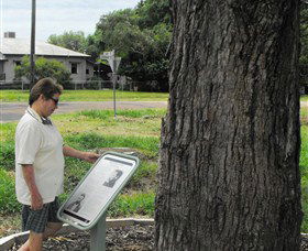Augathella Kenniff Tree - Port Augusta Accommodation 0