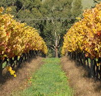 Wild Dog Winery  Restaurant - Port Augusta Accommodation