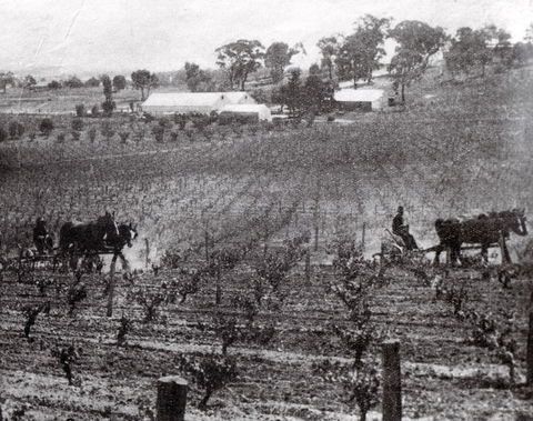 Stanton And Killeen Wines - Port Augusta Accommodation 10