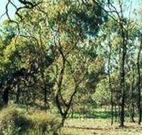 Leaghur State Park - Port Augusta Accommodation