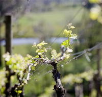Lindemans Karadoc Winery - Port Augusta Accommodation