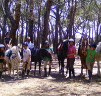 Bellarine Horse Riding Centre - Port Augusta Accommodation