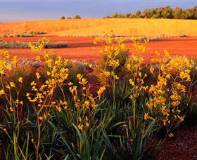 Royal Botanic Gardens Victoria Cranbourne - Port Augusta Accommodation 0