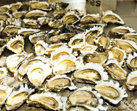 Wheelers Oysters - Port Augusta Accommodation 0