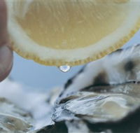 Pearly Oyster Bar and Farm - Port Augusta Accommodation