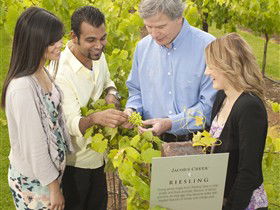 Jacob's Creek Vineyard Tour - Port Augusta Accommodation 0