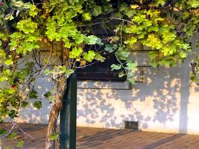 Pine Hill SA Port Augusta Accommodation