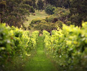 Merindoc Cafe And Cellar Door - Port Augusta Accommodation 0