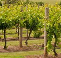 Mt Coghill Vineyard - Port Augusta Accommodation