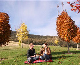 Gapsted Wines - Port Augusta Accommodation 5