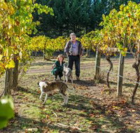 Little River Wines of Taggerty - Port Augusta Accommodation