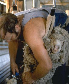 Kuriong Sheep Station - Port Augusta Accommodation 0